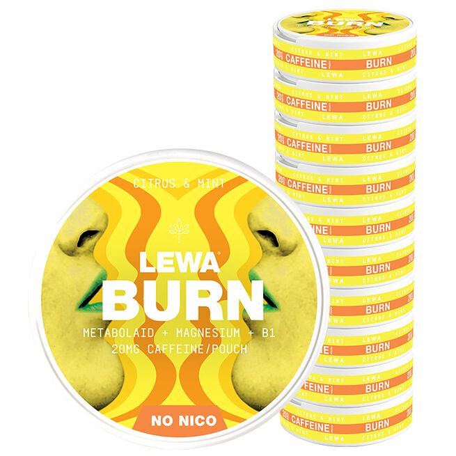 10 x LEWA Functional NoNico BURN Citrus/Mint 10 x LEWA Functional NoNico BURN Citrus/Mint BURN Citrus/Mint