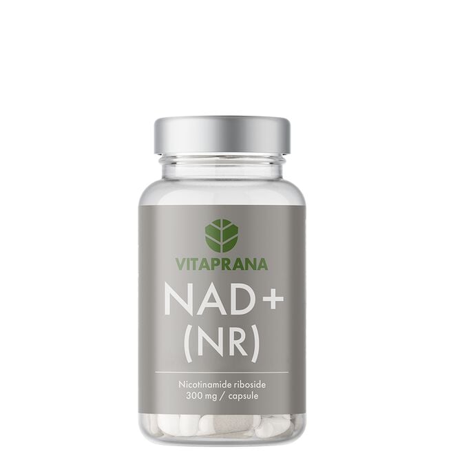 NAD+ Nikotinamid Ribosid 30 kapslar NAD+ 300 mg Nikotinamid Ribosid 30 kapsler