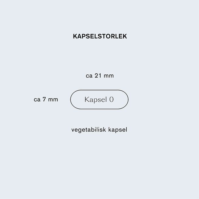Holistic Lions mane 60 vegetabiliska kapslar Lions mane 60 vegetabilske kapsler