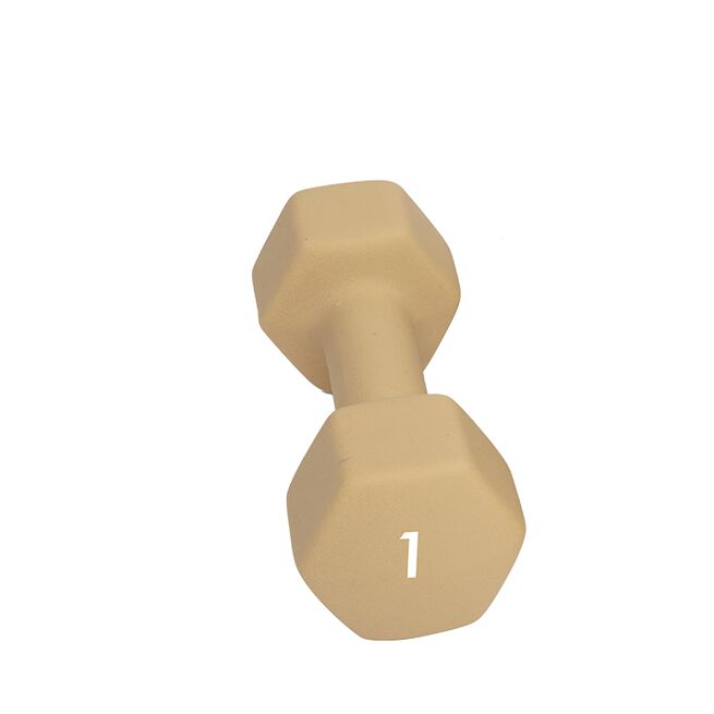 Abilica Abilica DumbBell 1kg Abilica Manual 1–10 kg