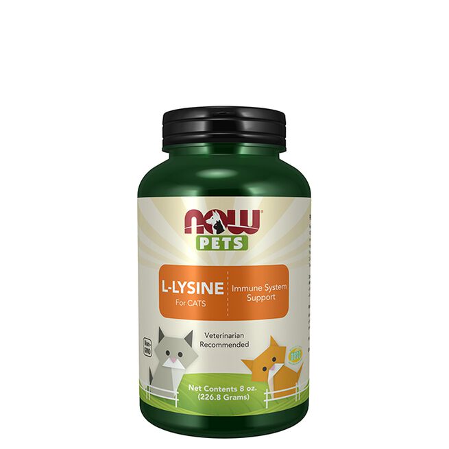 L-lysine Powder 226,8 g L-Lysine Pulver 226,8 g