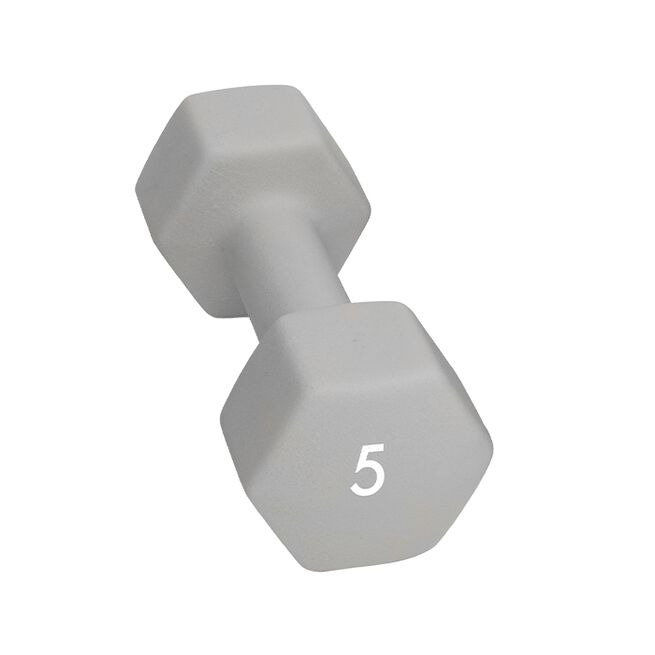 Abilica Abilica DumbBell 5kg Abilica Manual 1–10 kg