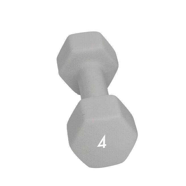 Abilica Abilica DumbBell 4kg Abilica Manual 1–10 kg