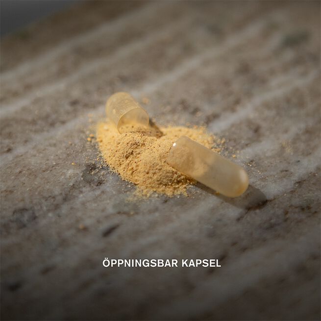 Holistic Lions mane 60 vegetabiliska kapslar Lions mane 60 vegetabilske kapsler