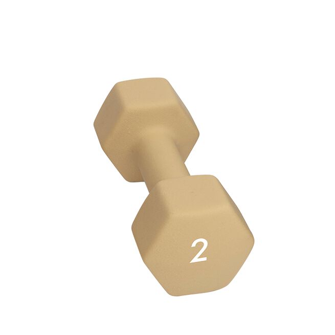 Abilica Abilica DumbBell 2kg Abilica Manual 1–10 kg