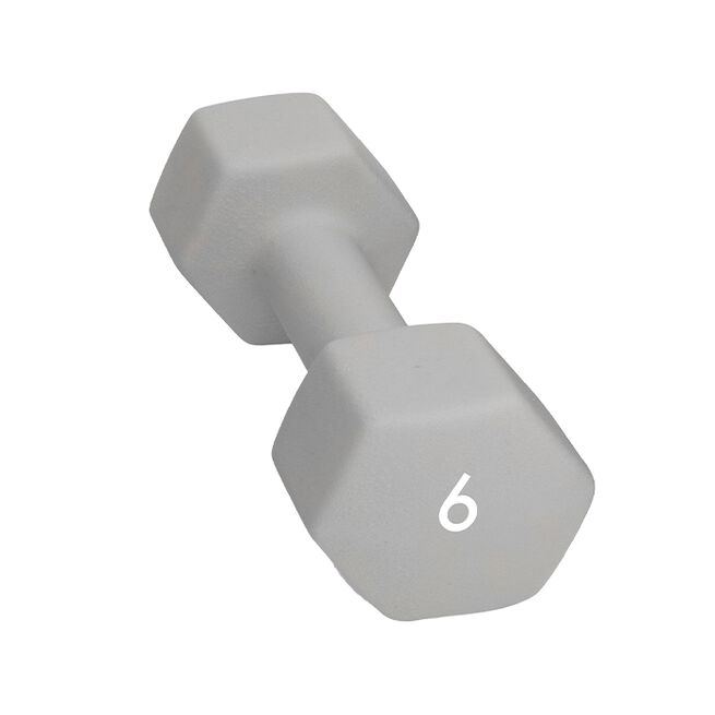 Abilica DumbBell 6 kg Abilica Manual 1–10 kg