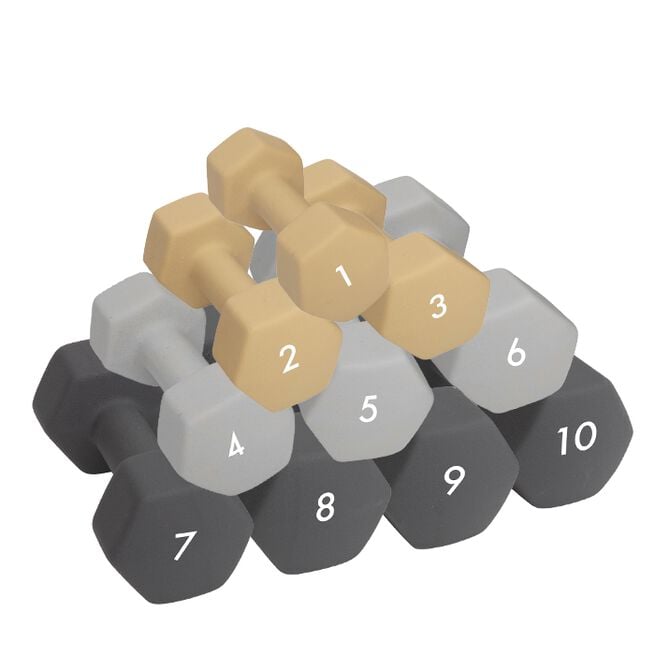 Abilica DumbBell 1 kg Abilica Manual 1–10 kg