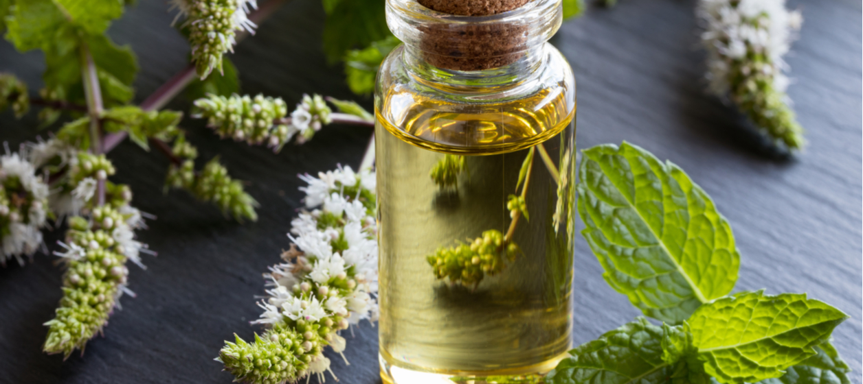 D&auml;rf&ouml;r b&ouml;r vi &auml;ta mer bittert