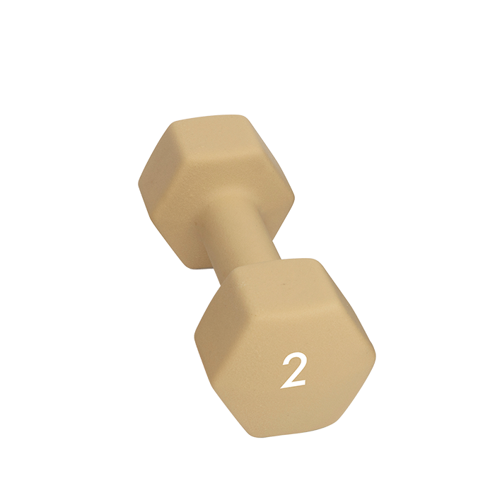 Abilica Manual 1–10 kg