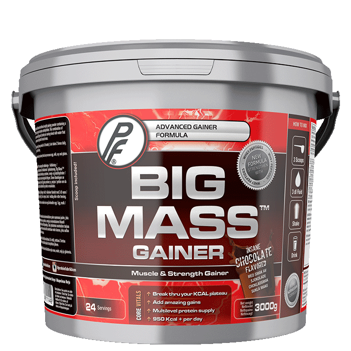 Bilde av Big Mass Gainer, 3000 G